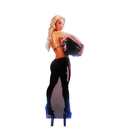 leslie web